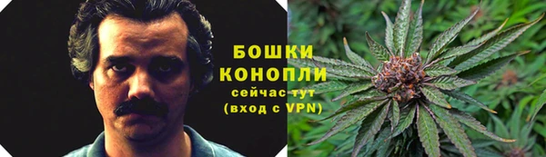 прущие крисы Нефтекумск