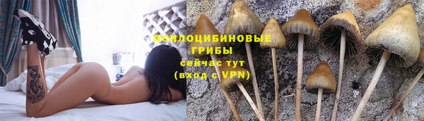 прущий лед Новозыбков